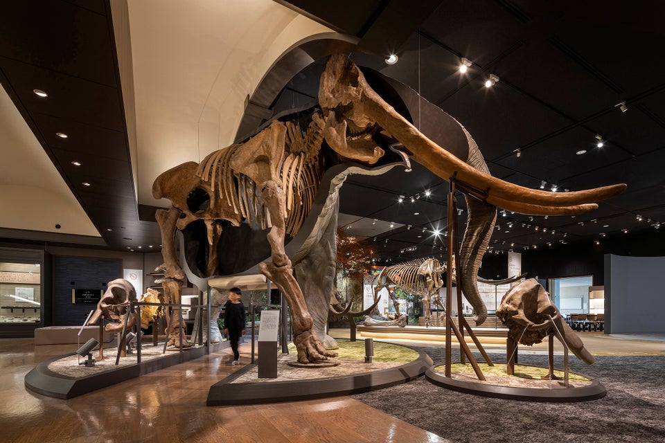 滋賀県立琵琶湖博物館